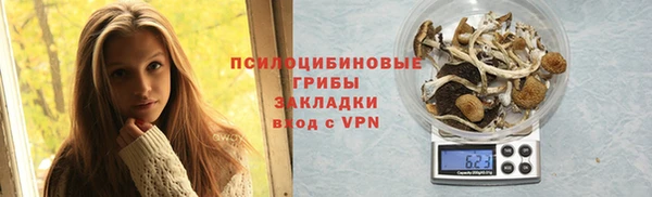 герыч Вяземский