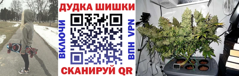 купить наркоту  Приозерск  Марихуана конопля 